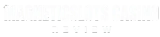 Magneticslots Casino logo