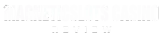 Magneticslots Casino logo